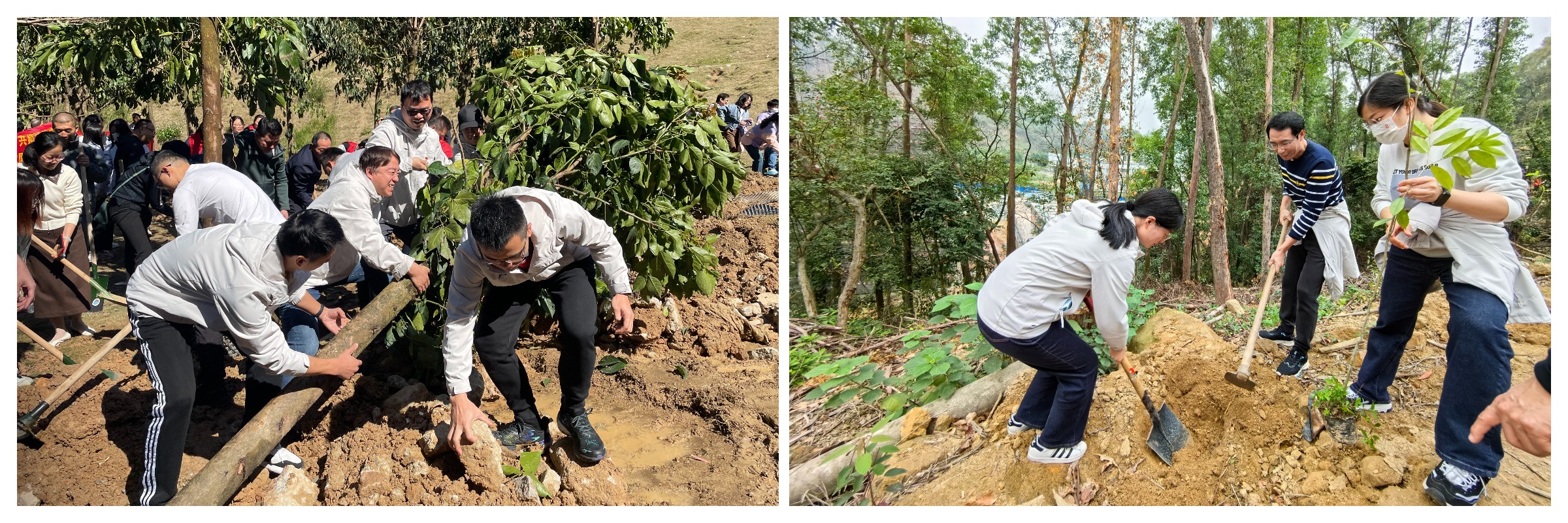 0033990威尼斯(中国)有限公司 -Best Of Best