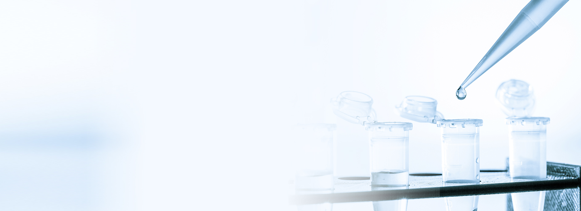 bet8·(股份)有限公司官网